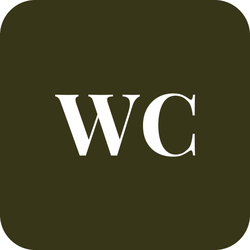 Worcester Careflow logo